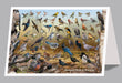 6"x 9" Card  -  Backyard Birds of Montana - 6pk