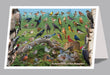 6"x 9" Card  -  Backyard Birds of New Hampshire - 6pk