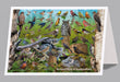 6"x 9" Card - Backyard Birds of Newfoundland 6-pk