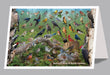 6"x 9" Card  -  Backyard Birds of North Carolina - 6pk