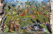 11" x 17" Placemat - Backyard Birds of Southern Ontario -Wholesale Ordering Only