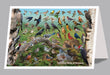 6"x 9" Card - Backyard Birds of Vermont - 6pk