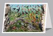 6"x 9" Card  -  Backyard Birds of Vermont - 6pk