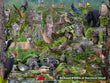 18" x 24" Poster - Backyard Wildlife of Vancouver Island