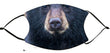 Facemask - Bear Cub