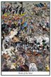 24" x 36" Poster - Birds of the West