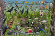 11" x 17" Placemat - Birds of Freshwater Wetlands -Wholesale Ordering Only