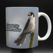 11oz Mug - CAJA 001 - Canada Jay