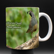11oz Mug - CAQU 001 - California Quail
