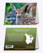 5" x 7" Cards  -  CBTD 9657  - Columbian Black-tailed Deer 6-pk