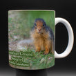 11oz Mug - CGSQ 001 - Columbian Ground Squirrel