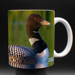 11oz Mug - COLO 003 - Common Loon
