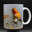 11oz Mug - RUHU 003 - Rufous Hummingbird