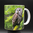 11oz Mug - BAOW 006 - Barred Owl