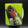 11oz Mug - ANHU 005 - Anna's Hummingbird
