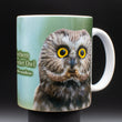 11oz Mug - NSWO 003 - Northern Saw whet Owl
