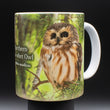 11oz Mug - NSWO 001  - Northern Saw whet Owl