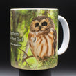 11oz Mug - NSWO 001 - Northern Saw whet Owl