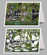 6"x 9" Card - Coastal Rainforest 6-pk