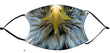 Facemask - Bald Eagle
