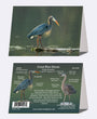 5" x 7" Cards - GBH 0124 - Great Blue Heron 6-pk