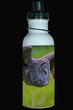 600ml Water Bottle - GGO 001  -Great Gray Owl