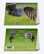 5" x 7" Cards  -  GGO 1571  - Great Gray Owl 6-pk