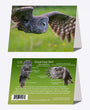 5" x 7" Cards - GGO 1571 - Great Gray Owl 6-pk