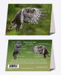 5" x 7" Cards - GGO 2768 - Great Gray Owl 6-pk