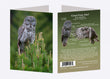 5" x 7" Cards - GGO 3016 - Great Gray Owl 6-pk