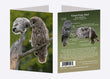 5" x 7" Cards - GGO 9481 - Great Gray Owl 6-pk