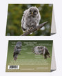 5" x 7" Cards  -  GGO 9537  - Great Gray Owl 6-pk