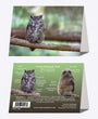 5" x 7" Cards  -  GHOW 6835  - Great Horned Owl 6-pk