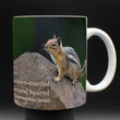 11oz Mug - GMGS 001  - Golden-mantled Ground Squirrel