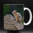 11oz Mug - GMGS 001 - Golden-mantled Ground Squirrel