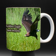 11oz Mug - GOEA 002  - Golden Eagle