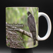 11oz Mug - NOGO 001 - Northern Goshawk