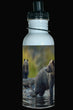600ml Water Bottle - GRIZZ 001 Grizzly Bear