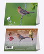 5" x 7" Cards - HOFI 1502 - House Finch 6-pk