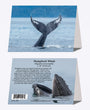 5" x 7" Cards - HUWH 0228 Humpback Whale 6-pk