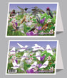 6"x 9" Card  -  Hummingbirds of the West 2022  - 6 pk