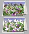6"x 9" Card - Hummingbirds of the West 2022 - 6 pk