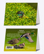 5" x 7" Cards - MALL 9333 - Mallard 6-pk