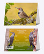 5" x 7" Cards - NOFL 4666 - Northern Flicker 6-pk