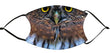 Facemask - Northern Pygmy Owl