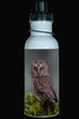 600ml Water Bottle - NSWO 001  - Northern Saw whet Owl