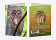 5" x 7" Cards  -  NSWO 4706 - Northern Saw-whet Owl 6-pk
