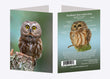 5" x 7" Cards  -  NSWO 7475  - Northern Saw-whet Owl 6-pk