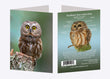 5" x 7" Cards - NSWO 7475 - Northern Saw-whet Owl 6-pk