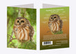 5" x 7" Cards  -  NSWO 9628  - Northern Saw-whet Owl 6-pk